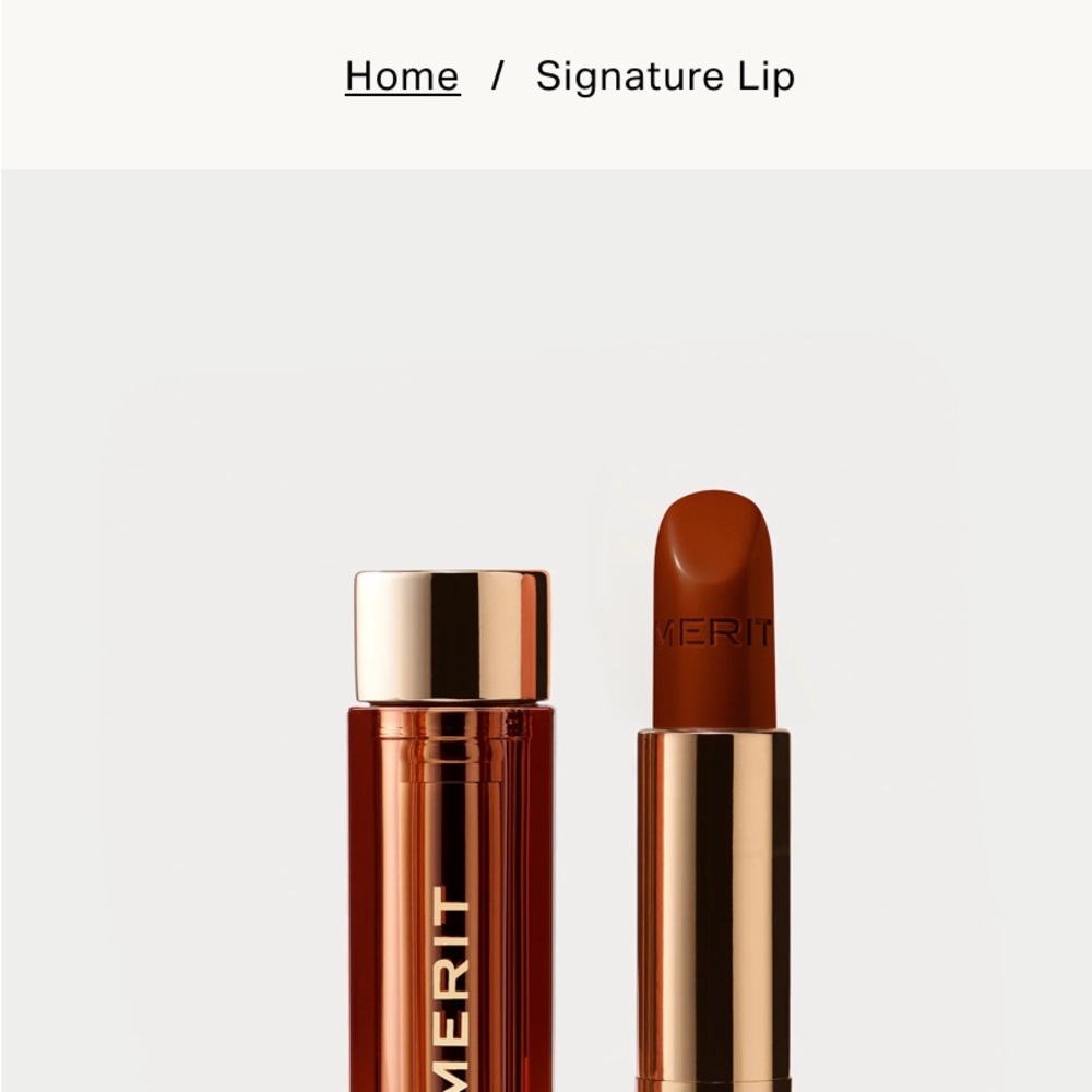 NWT Merit Signature Lipstick in Tiger
